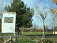 ‘Dalla pista dell’aeroporto Mondolfo Airfiled 1945 alla nuova pista ciclabile’ che collegherà Piano Marina a Marotta