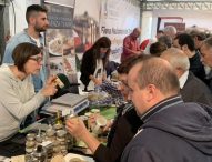 Cucina, cultura, spettacoli e il treno storico: al via la Fiera nazionale del Tartufo Bianco pregiato di Pergola